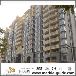 Έργο βίλας για το Gray Granite Blue Leopard Granite Project