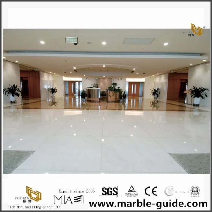 Statuario Marble Project For Hall